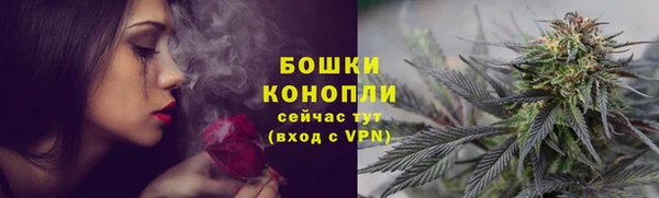 индика Верхнеуральск